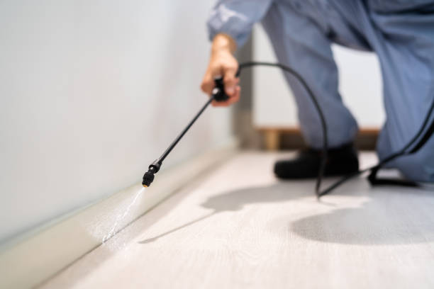 Best Pest Removal Services  in Fort Recovery, OH