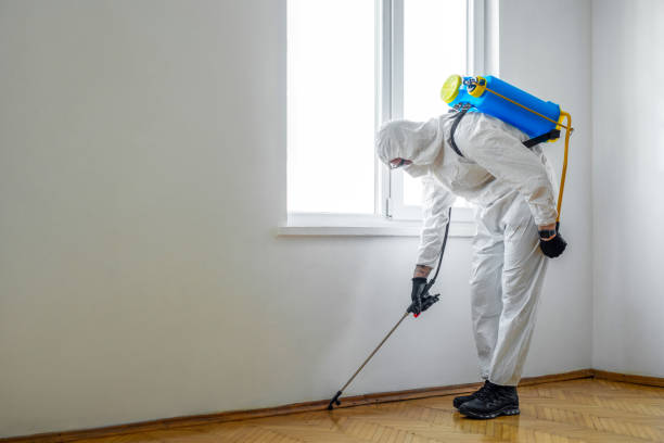 Best Exterminator Services  in Fort Recovery, OH