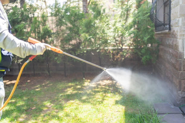 Best Rat Extermination Near Me  in Fort Recovery, OH