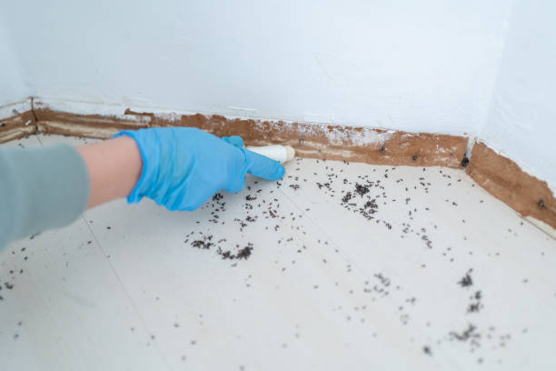 Best Emergency Pest Control  in Fort Recovery, OH